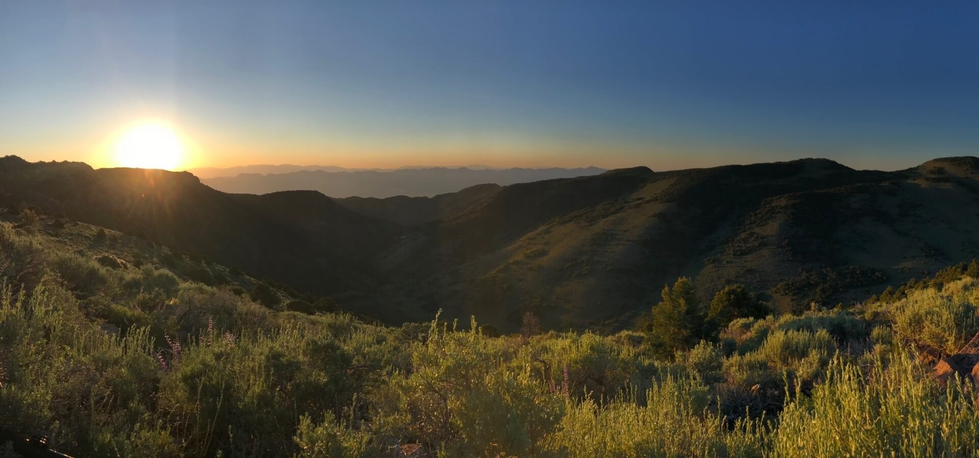 Landowner Tag & Western Outfitter Opportunities