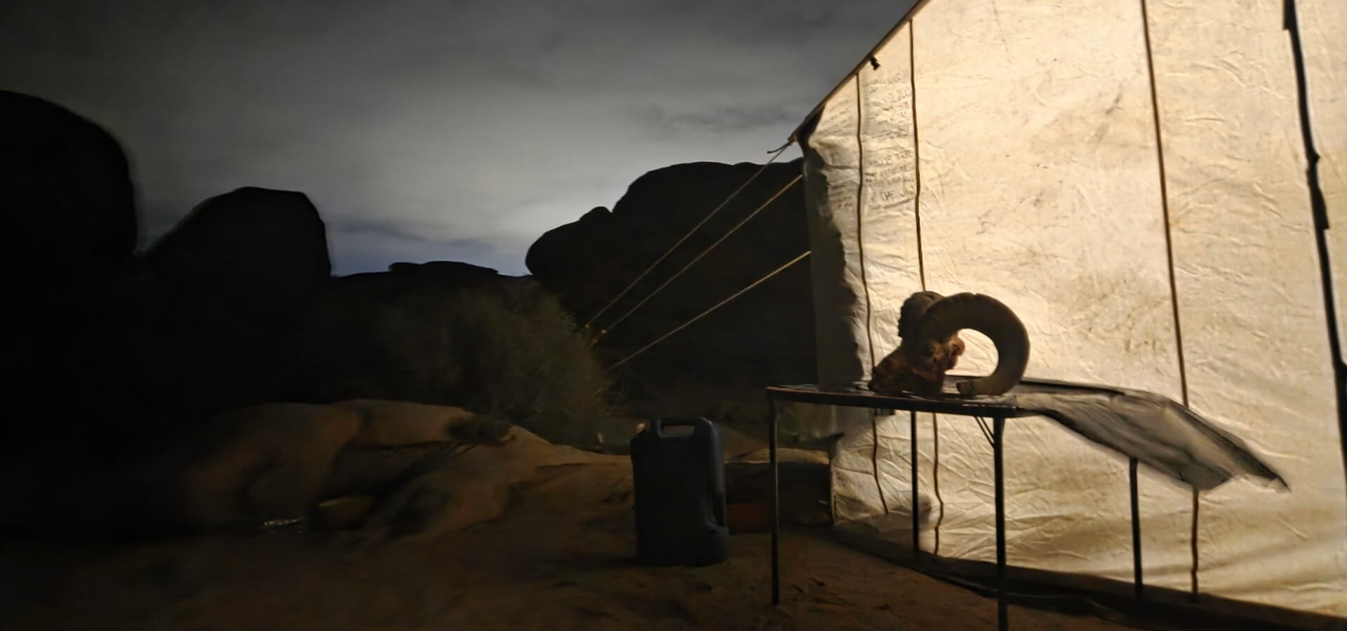 Nevada Desert & California Bighorn Sheep Hunts