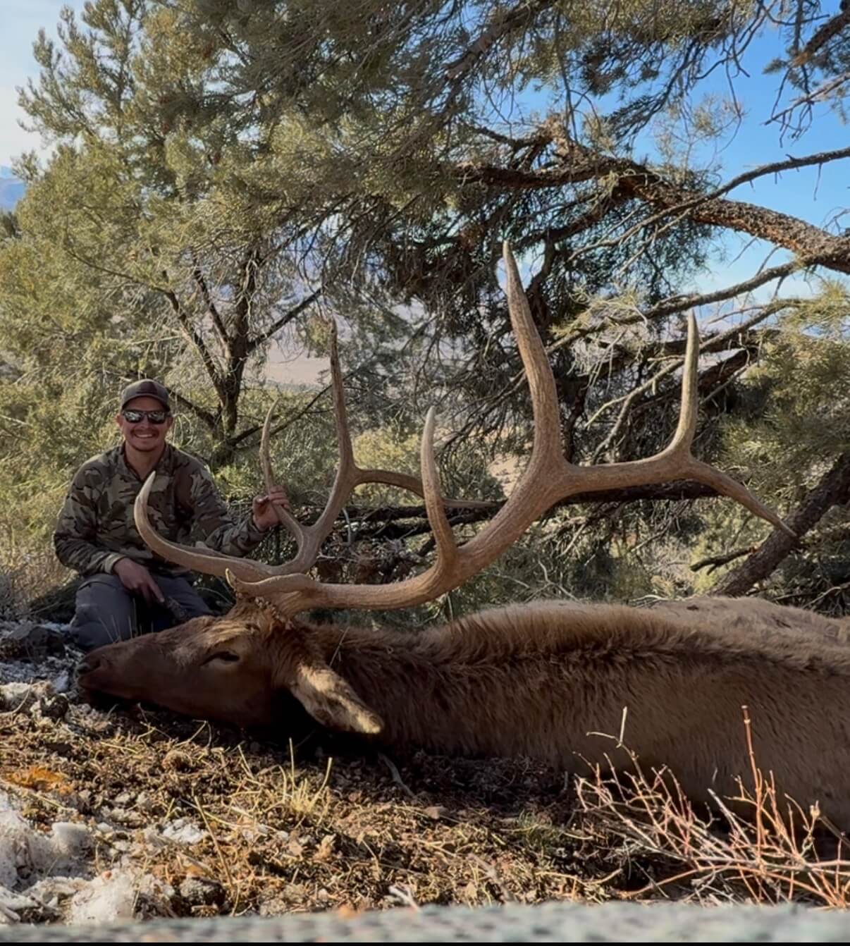 Elk Hunts