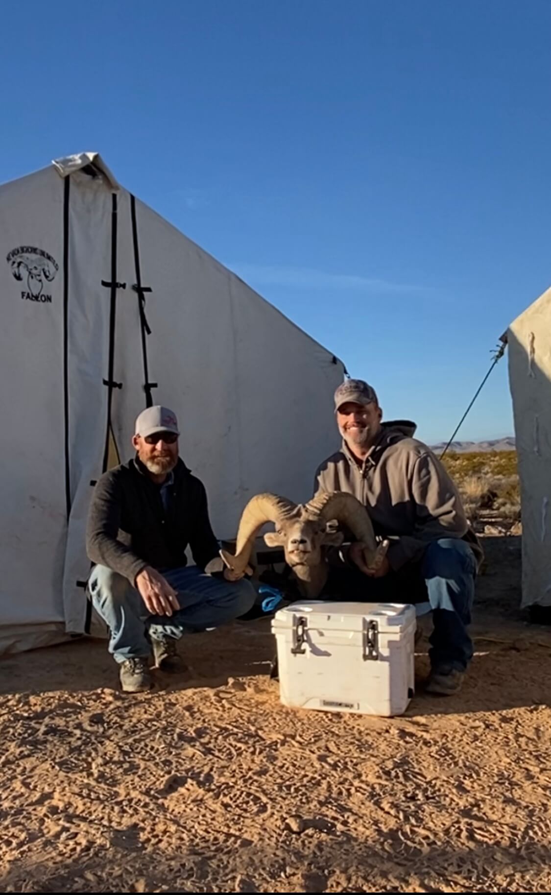 Sheep Hunts