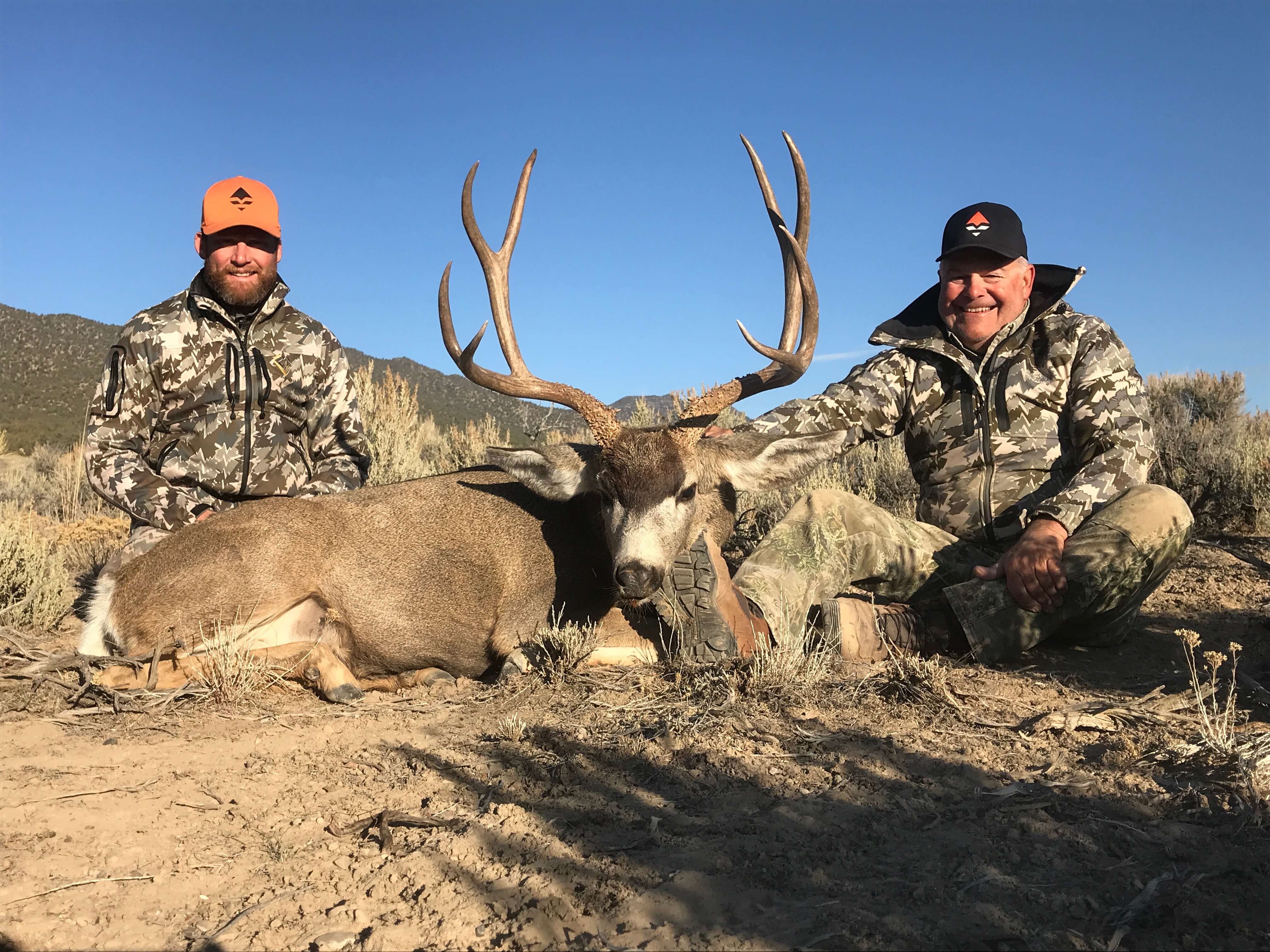 Mule Deer Hunt Rates: