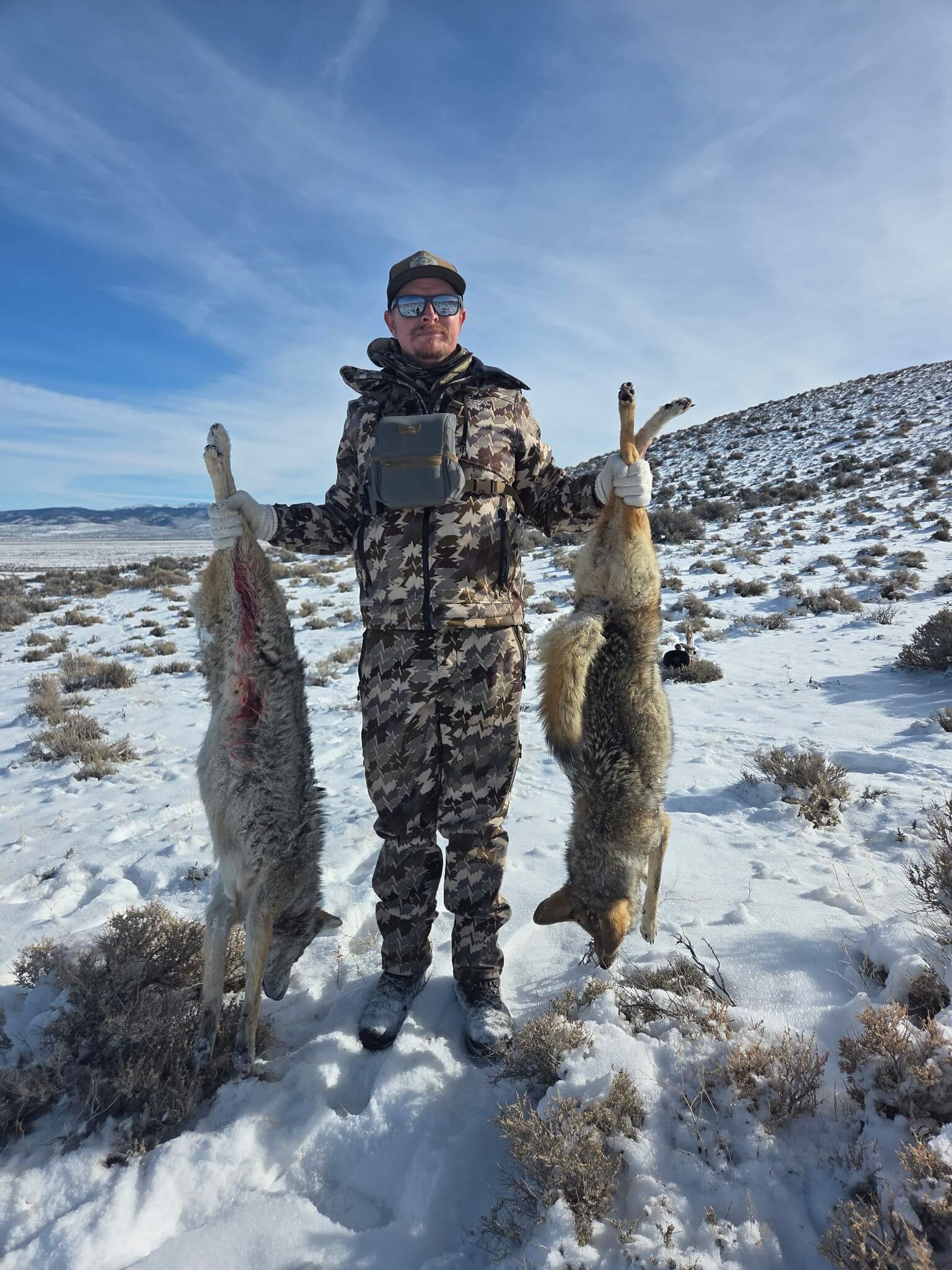 Coyote Hunt Rates