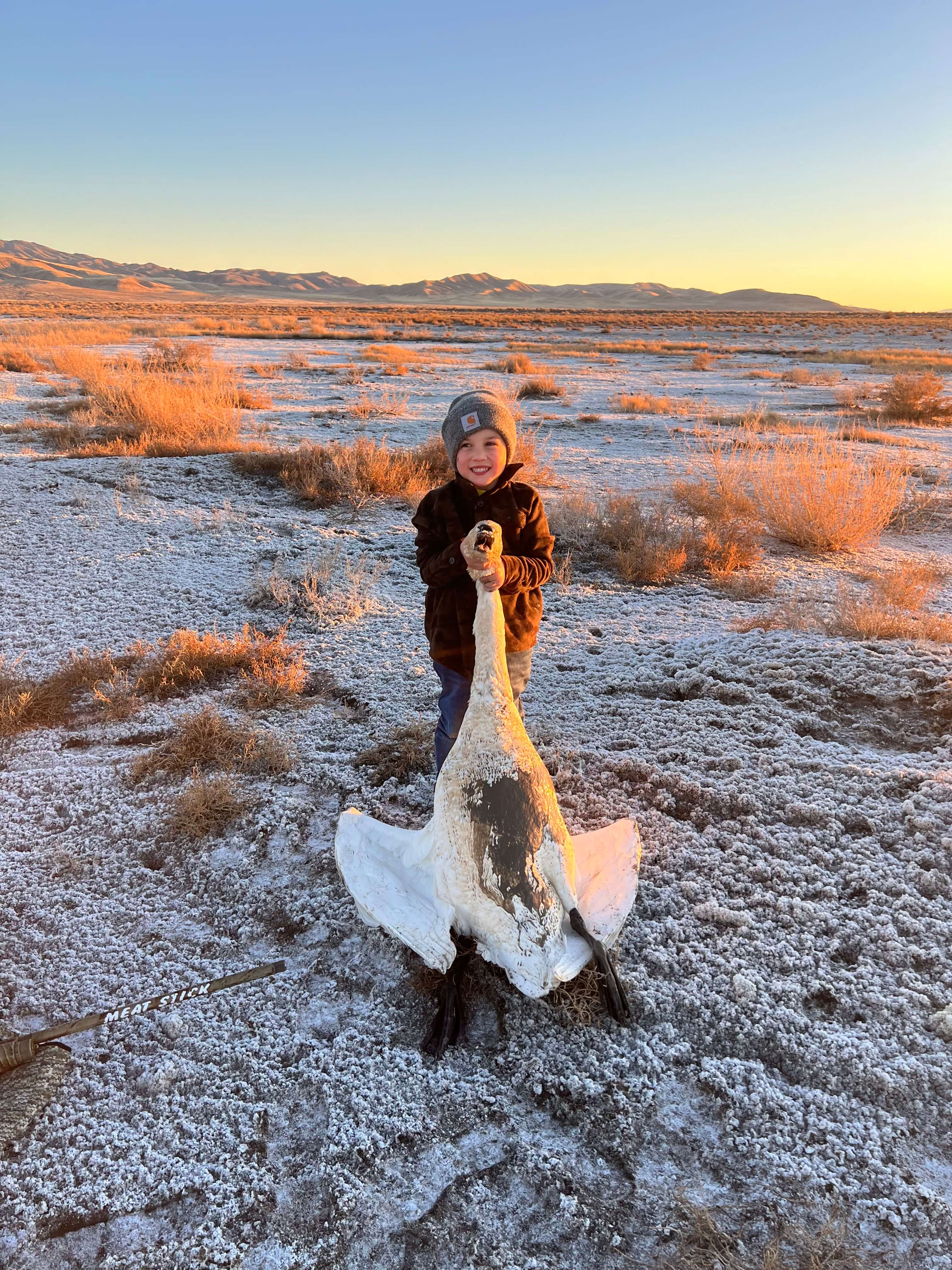 Swan Hunt Rates:
