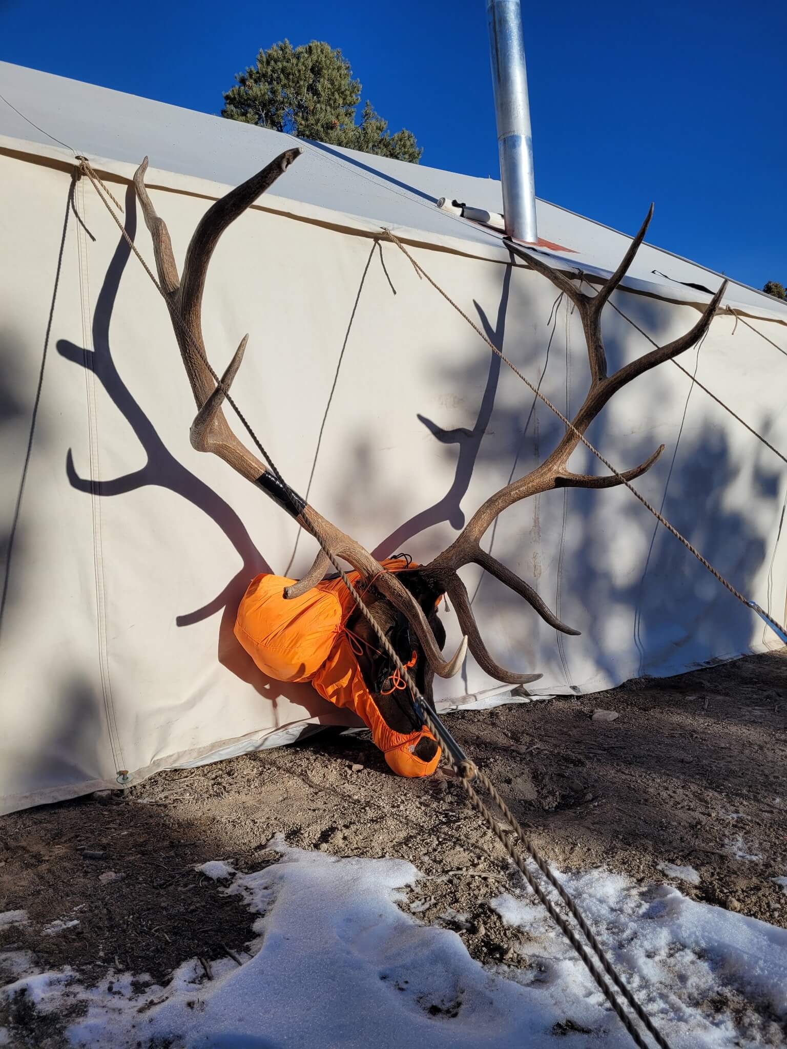 Bull Elk Hunt Rates: