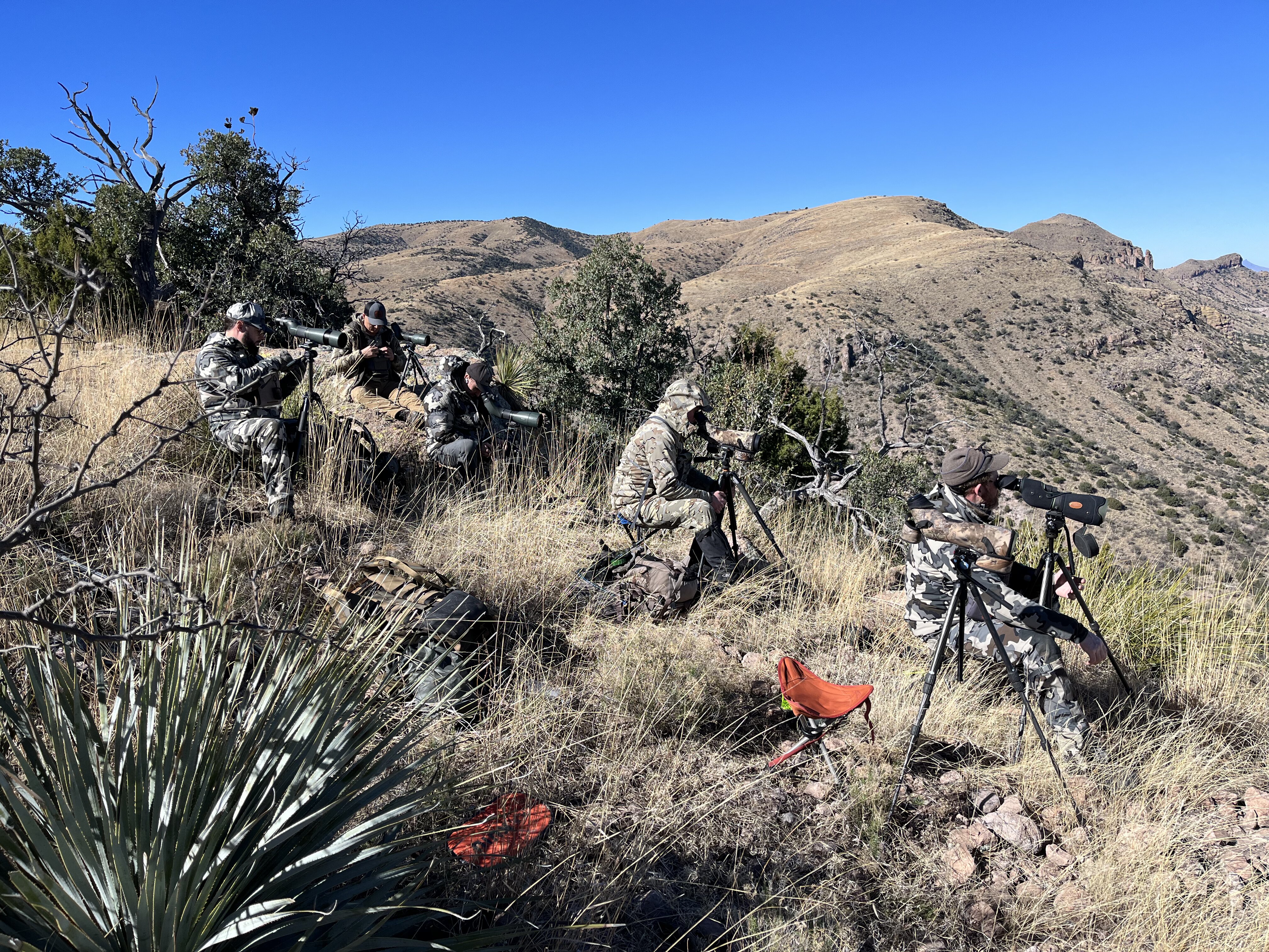 Mexico Hunts
