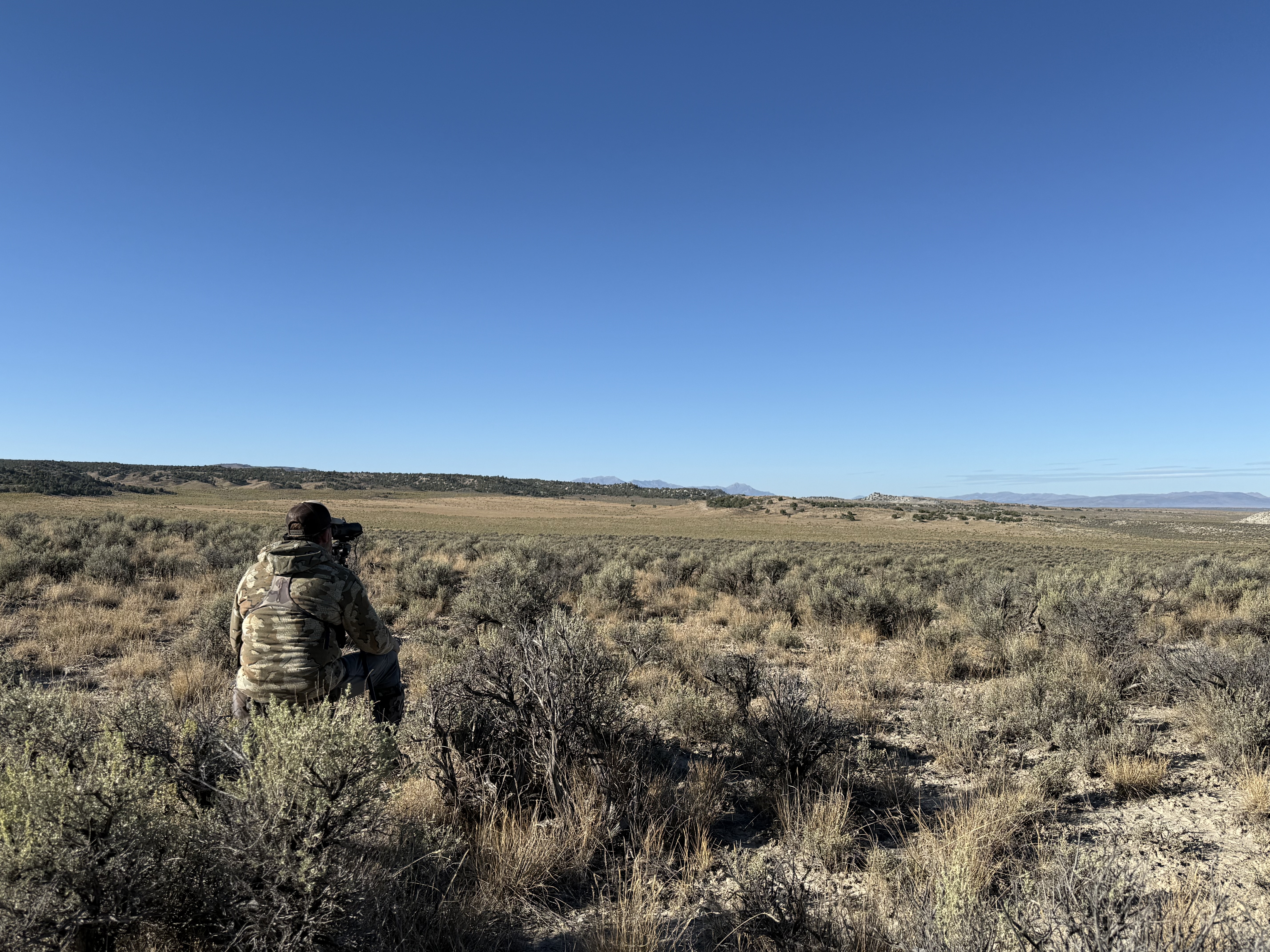 Antelope Doe Hunt Rates: