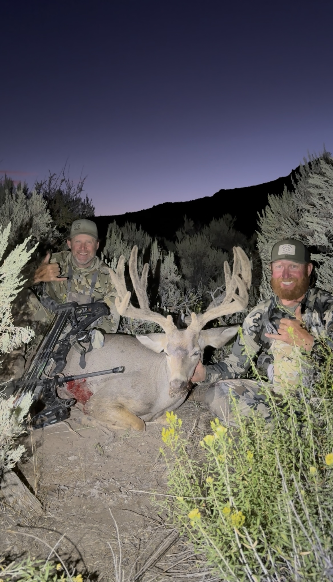 Let's Plan Your Mule Deer Hunt