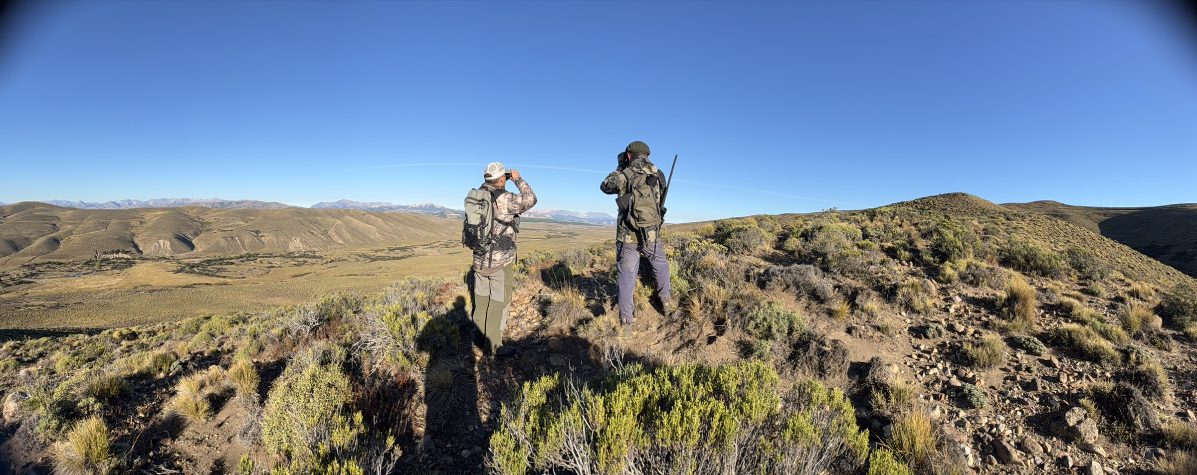 Argentina Hunts