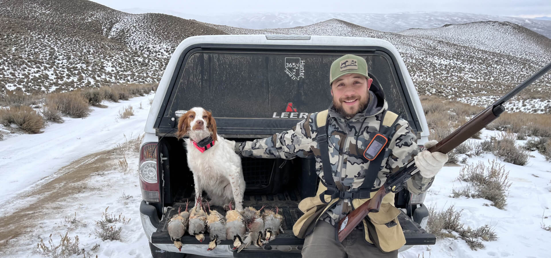 Bird Hunts