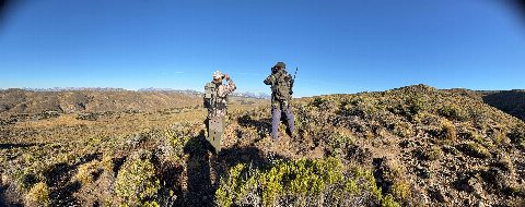 Argentina Hunts photo 17