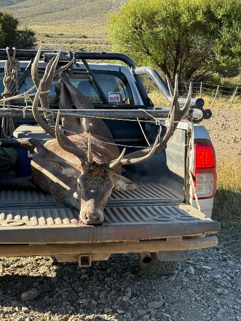 Argentina Hunts photo 13