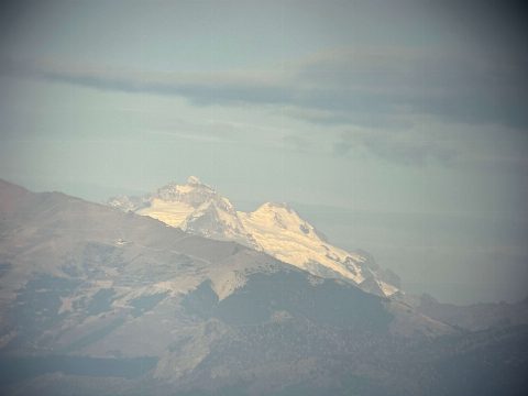 Argentina Hunts photo 12
