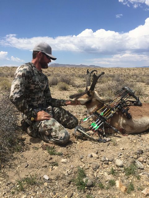 Antelope