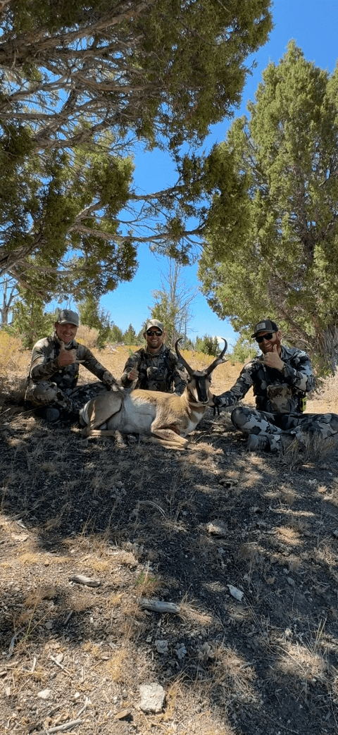 Antelope photo 15