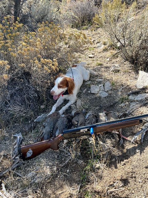 Upland Game photo 28