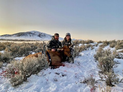 Rocky Mountain Elk photo 8
