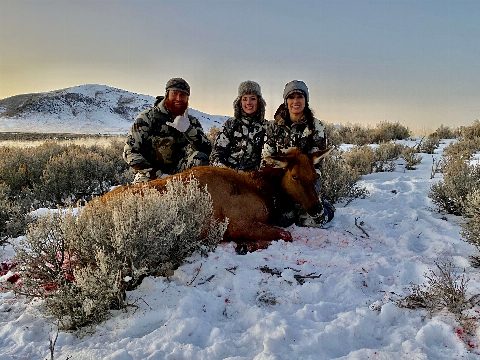 Rocky Mountain Elk photo 6