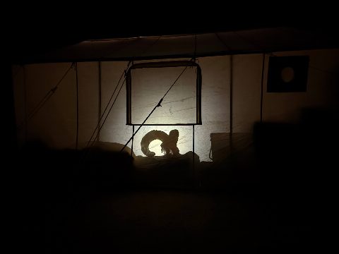 Bighorn Sheep photo 4