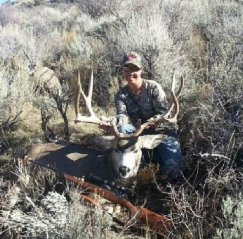 Mule Deer photo 24
