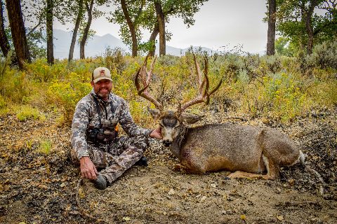 Mule Deer photo 21