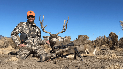 Mule Deer photo 18