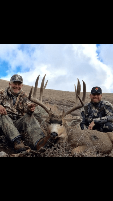 Mule Deer photo 16