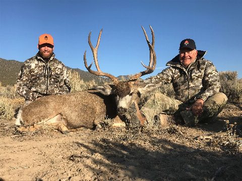 Mule Deer photo 15