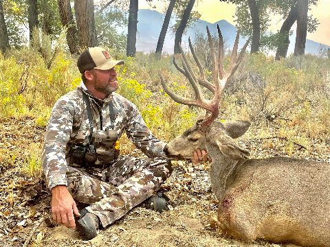 Mule Deer photo 10
