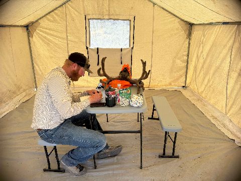 Mule Deer photo 7