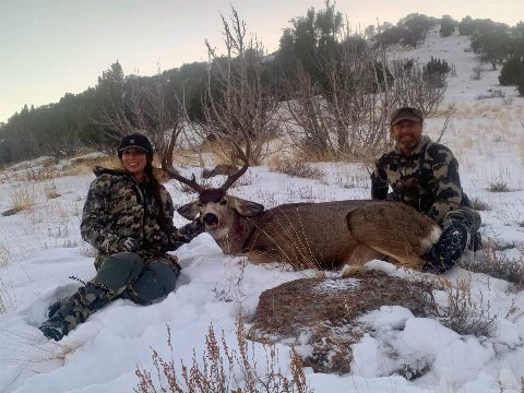 Mule Deer photo 6