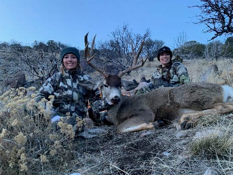 Mule Deer photo 5