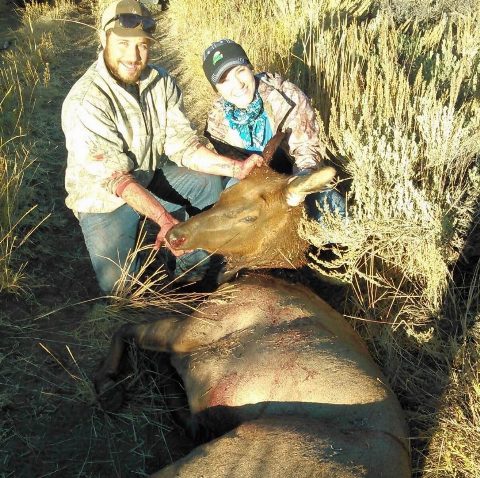 Rocky Mountain Elk photo 5