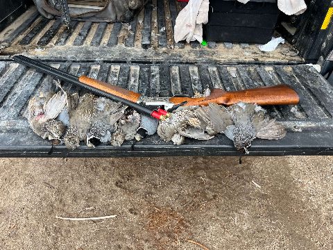 Upland Game photo 14