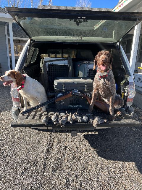 Upland Game photo 9
