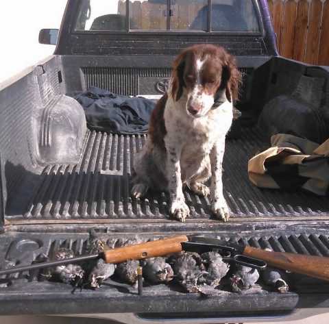 Upland Game photo 1