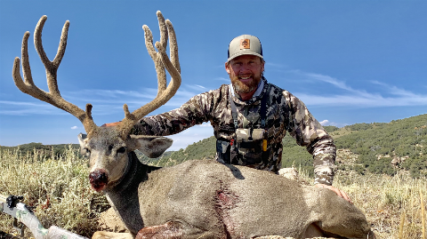 Mule Deer photo 3