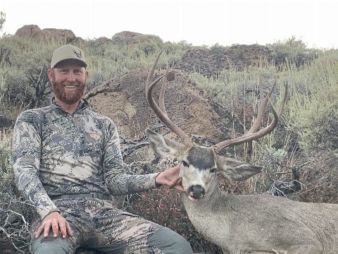 Mule Deer photo 2