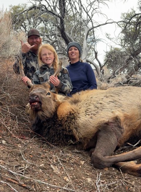 Rocky Mountain Elk photo 2