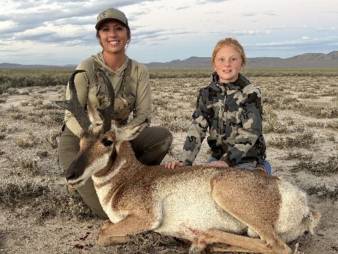 Antelope photo 5