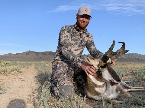 Antelope photo 4