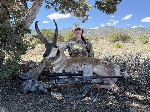 Antelope photo 1