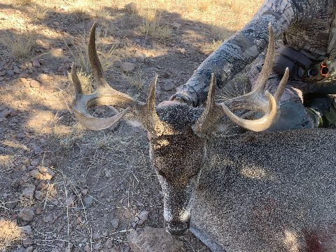 Mexico Hunts photo 6