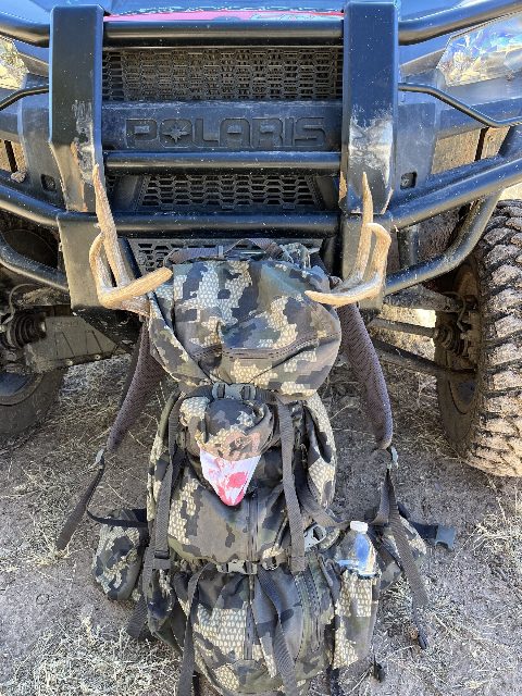 Mexico Hunts photo 2