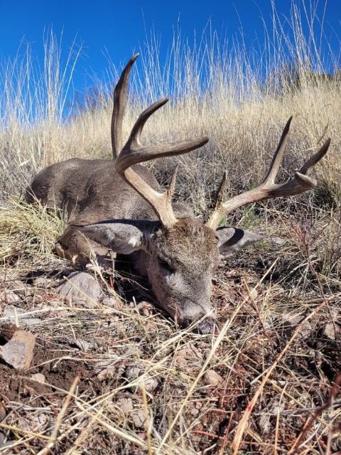 Mexico Hunts photo 1